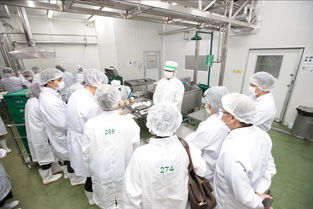 t mark品質(zhì),太多你不知道的驚喜