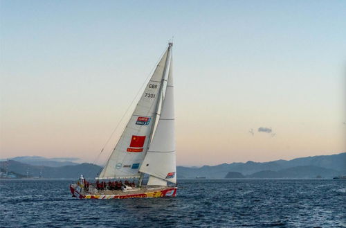 海上茶葉縱貫線 陸路國際貨運代理業(yè)務的戰(zhàn)略支點與時代新章