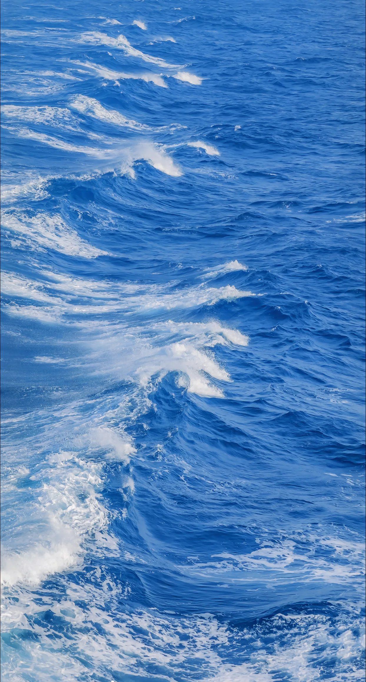 海上漂，心飛揚(yáng)——探索陸路國(guó)際貨運(yùn)代理業(yè)務(wù)的獨(dú)特魅力