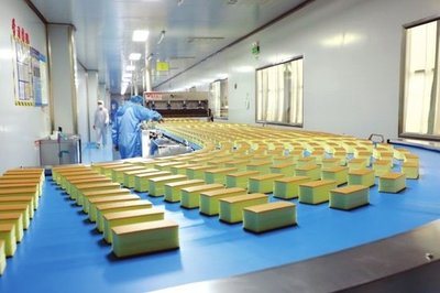 河南麥客多食品食品生產(chǎn)線。