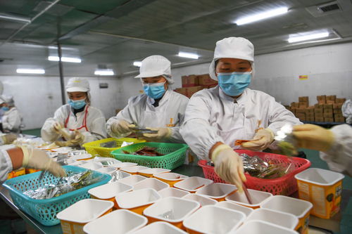 貴州麻江 食品企業(yè)創(chuàng)新發(fā)展促就業(yè)助增收
