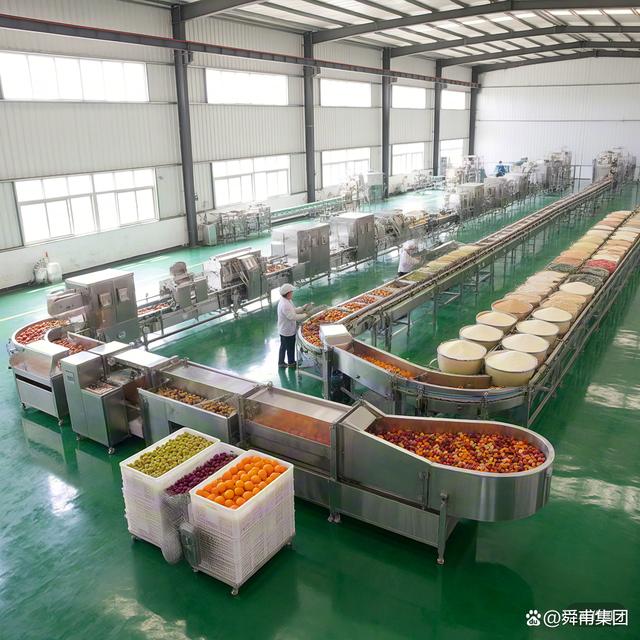 果蔬粉加工生產(chǎn)線 現(xiàn)代食品工業(yè)的高效解決方案